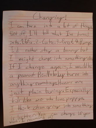 Essay fourth grader write