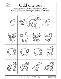 Kindergarten, Preschool Reading Worksheets: Which animal is different