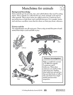 3rd grade, 4th grade Science Worksheets: Munchtime for animals | GreatKids