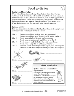 3rd grade, 4th grade Science Worksheets: Bug detective | GreatKids