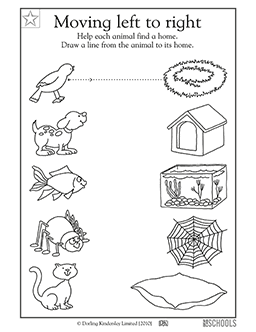 Connect the animal to its home | Kindergarten, Preschool Reading, Writing  Worksheet | GreatSchools