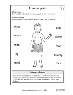 Body Parts 1st Grade 2nd Grade Kindergarten Science Worksheet Greatschools
