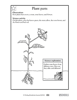 2nd grade science worksheets word lists and activities page 7 of 9 greatschools