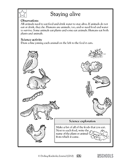 What does it eat? | 1st grade, 2nd grade, Kindergarten Science Worksheet |  GreatSchools