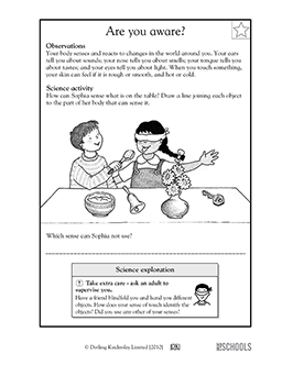 1st grade science worksheets word lists and activities