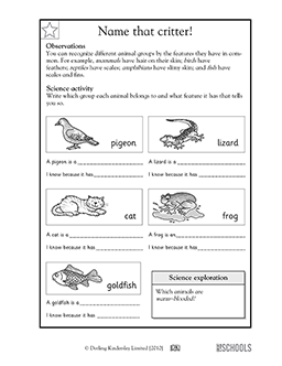 Name that critter! | 1st grade, 2nd grade, Kindergarten Science