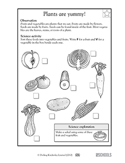 Plants are yummy! | 1st grade, 2nd grade, Kindergarten Science