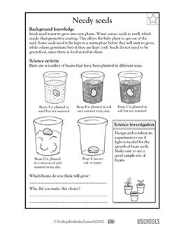 Needy seeds | 3rd grade, 4th grade Science Worksheet | GreatSchools