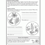 3rd grade science Worksheets, word lists and activities. | Page 6 of 10