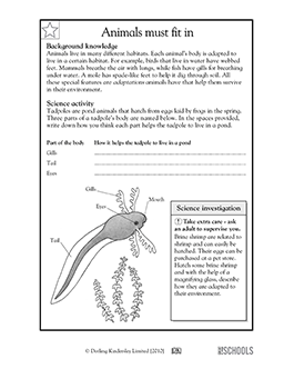 3rd grade science Worksheets, word lists and activities ...