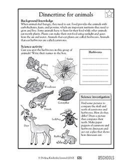 Animal dinnertime! | 3rd grade, 4th grade Science Worksheet | GreatSchools