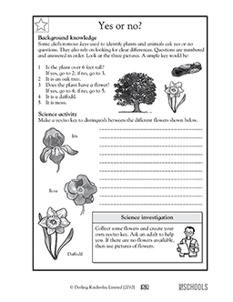 Distinguishing between flowers | 5th grade Science Worksheet | GreatSchools