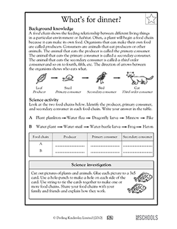 5th grade Science Worksheets: Parts of the food chain ...