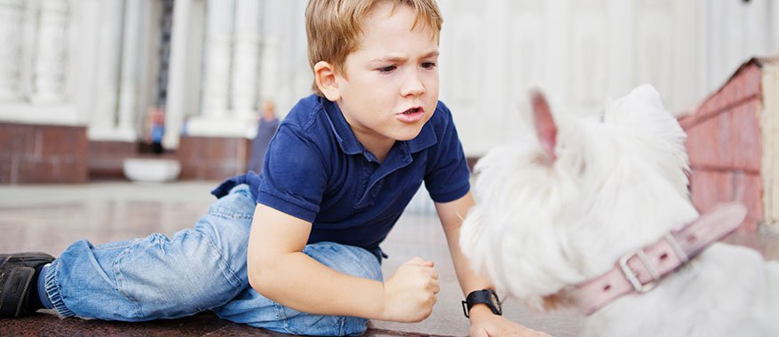 Is it normal for your preschooler to hurt animals? | Parenting