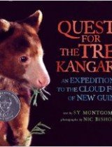 quest for the tree kangaroo