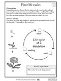 plant-life-cycles-120b