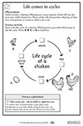 Life-cycles