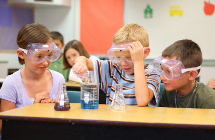 First grade science